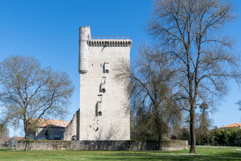 Lesparre-medoc,(gironde,,France):,The,Tower,Of,Honor,(14th,Century)